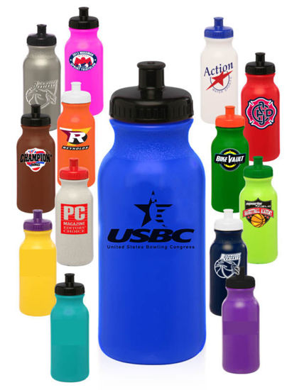 Picture of 20 Oz. Water Bottle (National Logo)